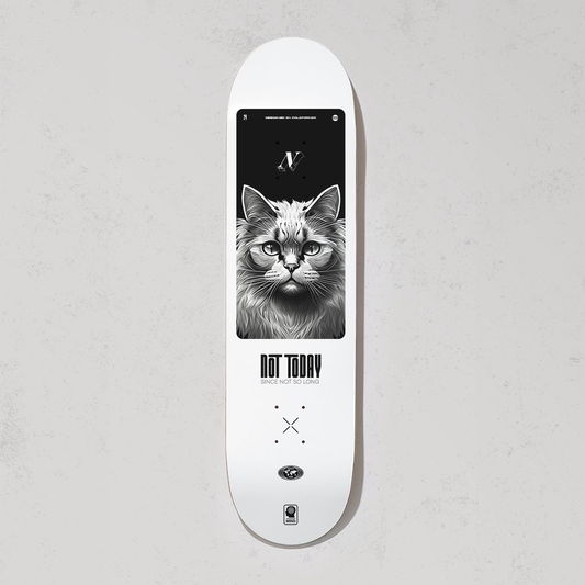 Cat Skate Board